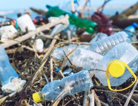 Studiu // Efectele poluării cu plastic ar putea fi ireversibile